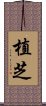 Ueshiba Scroll