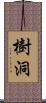 樹洞 Scroll