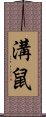 溝鼠 Scroll