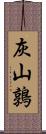 灰山鶉 Scroll