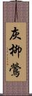 灰柳鶯 Scroll