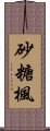 砂糖楓 Scroll