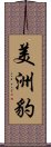 美洲豹 Scroll