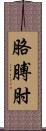 胳膊肘 Scroll