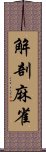 解剖麻雀 Scroll