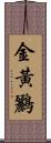 金黃鸝 Scroll