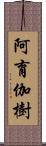 阿育伽樹 Scroll