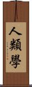 人類學 Scroll