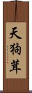 天狗茸 Scroll