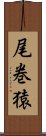 尾巻猿 Scroll