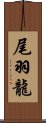 尾羽龍 Scroll