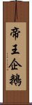 帝王企鵝 Scroll