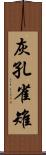 灰孔雀雉 Scroll