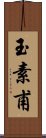 玉素甫 Scroll