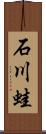 石川蛙 Scroll