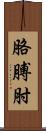 胳膊肘 Scroll