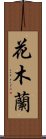 Hua Mulan Scroll