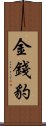 金錢豹 Scroll