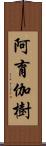 阿育伽樹 Scroll