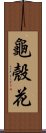 龜殼花 Scroll