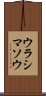 ウラシマソウ Scroll