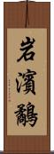 岩濱鷸 Scroll