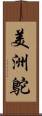 美洲鴕 Scroll