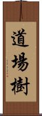 道場樹 Scroll