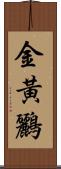 金黃鸝 Scroll