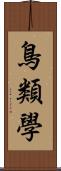 鳥類學 Scroll