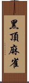 黑頂麻雀 Scroll