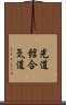 Kodokan Aikido Scroll