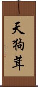 天狗茸 Scroll