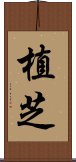 Ueshiba Scroll