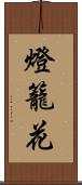 燈籠花 Scroll