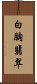 白胸翡翠 Scroll