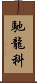 馳龍科 Scroll