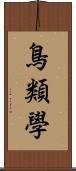 鳥類學 Scroll