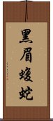 黑眉蝮蛇 Scroll