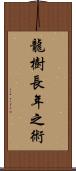 龍樹長年之術 Scroll