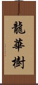 龍華樹 Scroll