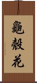 龜殼花 Scroll