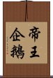 帝王企鵝 Scroll