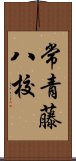 常青藤八校 Scroll