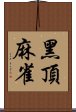 黑頂麻雀 Scroll