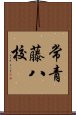 常青藤八校 Scroll