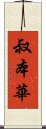 叔本華 Scroll