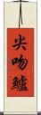 尖吻鱸 Scroll