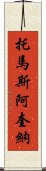 托馬斯・阿奎納 Scroll