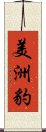 美洲豹 Scroll